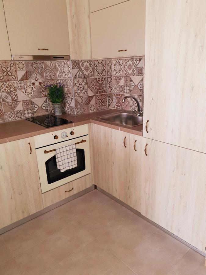 Bright And Newly Refurbished Apartment Near Center 索菲亞 外观 照片